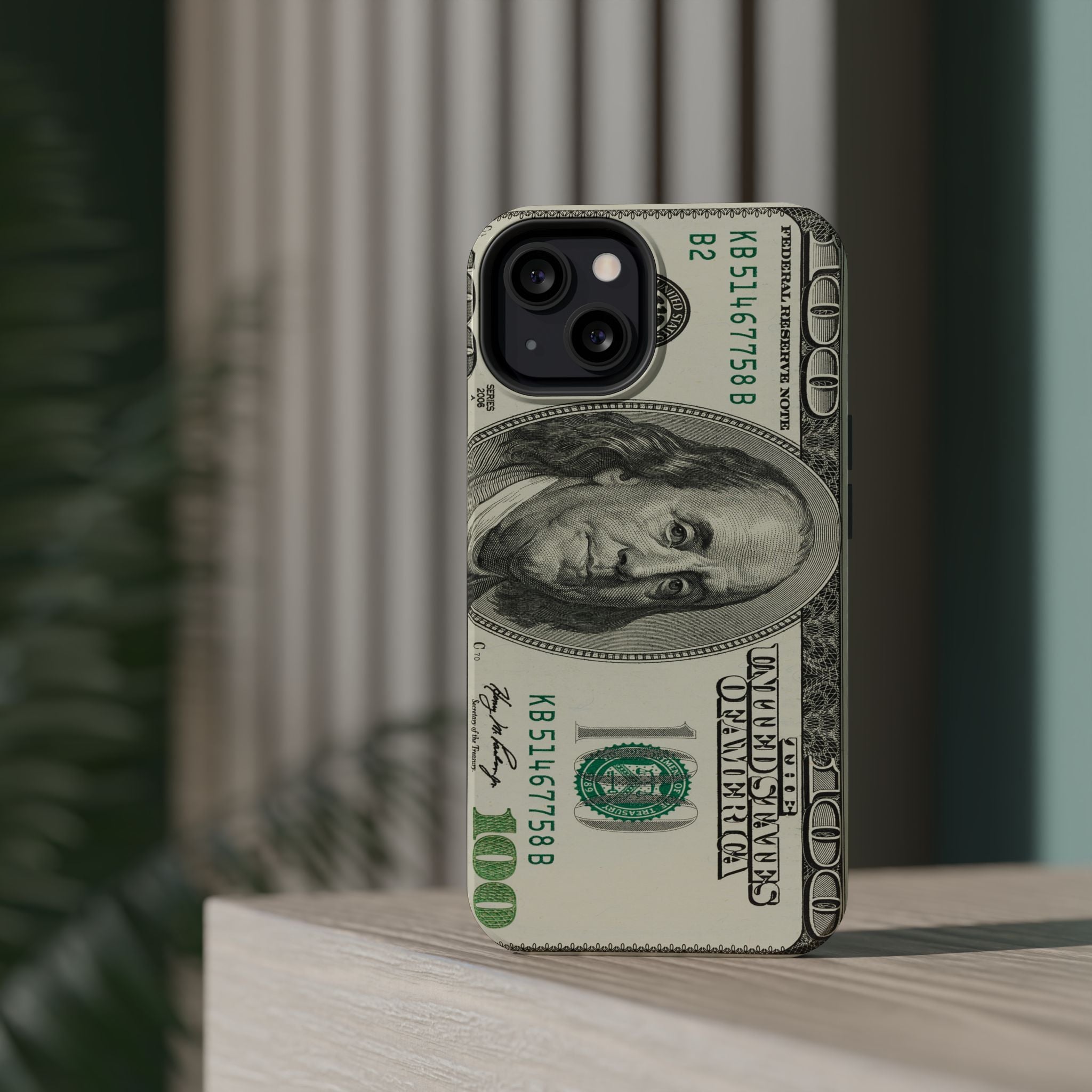 Dollar Magnetic Protective Phone Case