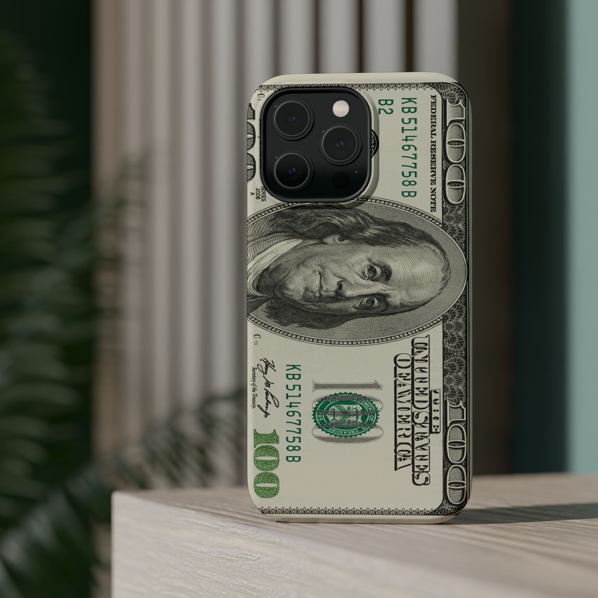 Dollar Magnetic Protective Phone Case
