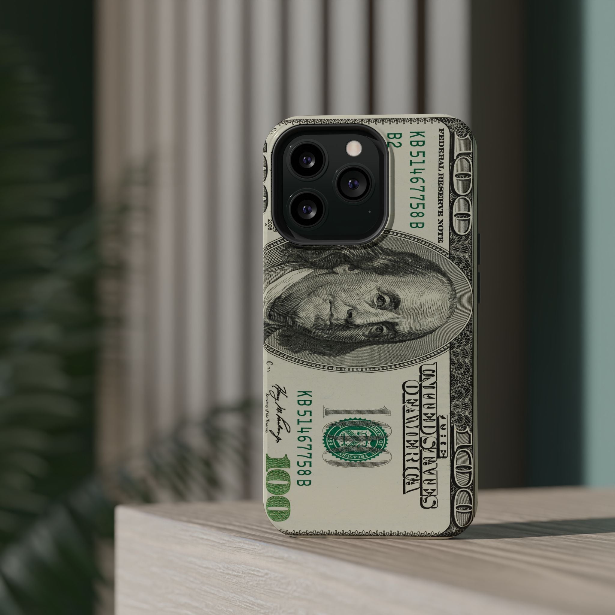 Dollar Magnetic Protective Phone Case