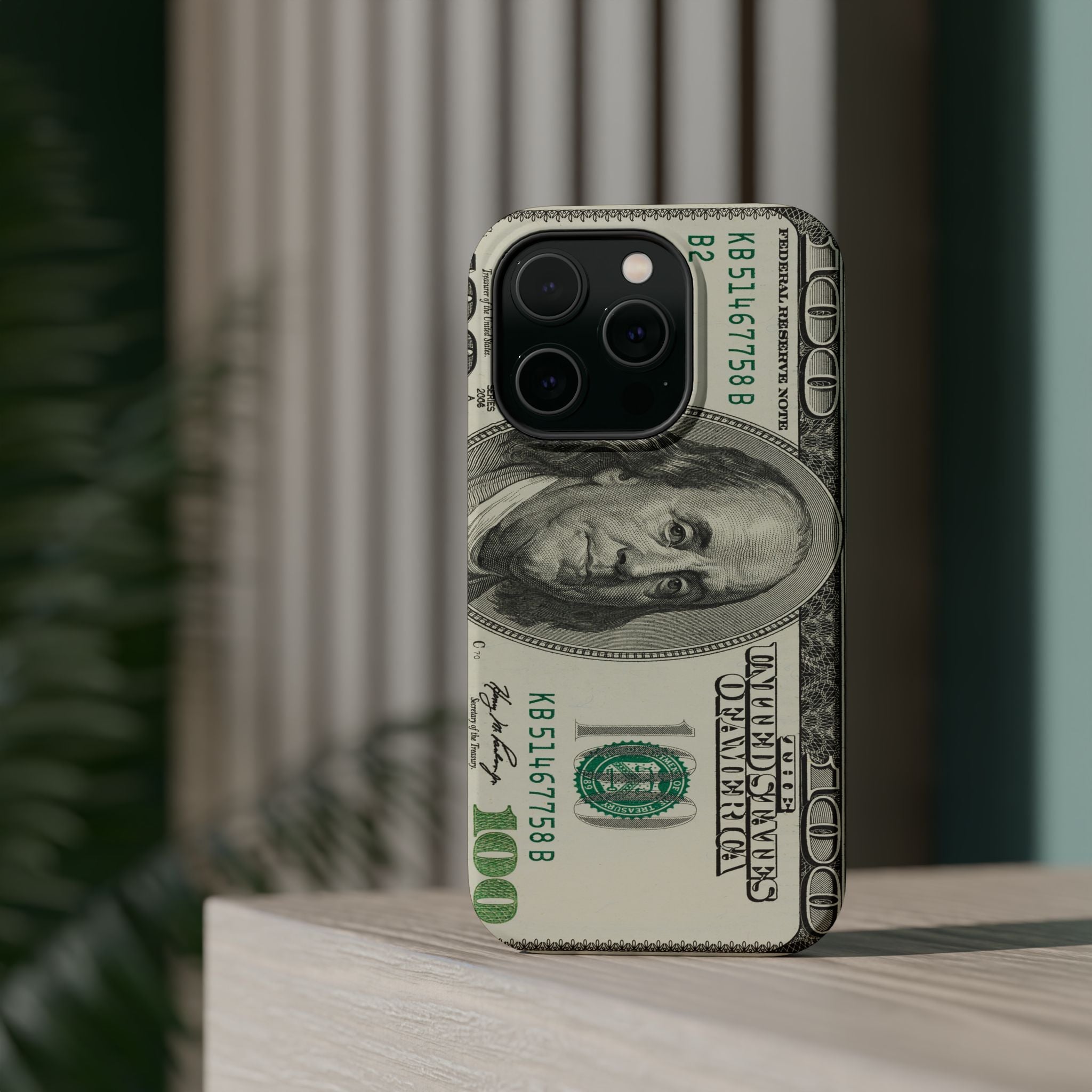 Dollar Magnetic Protective Phone Case